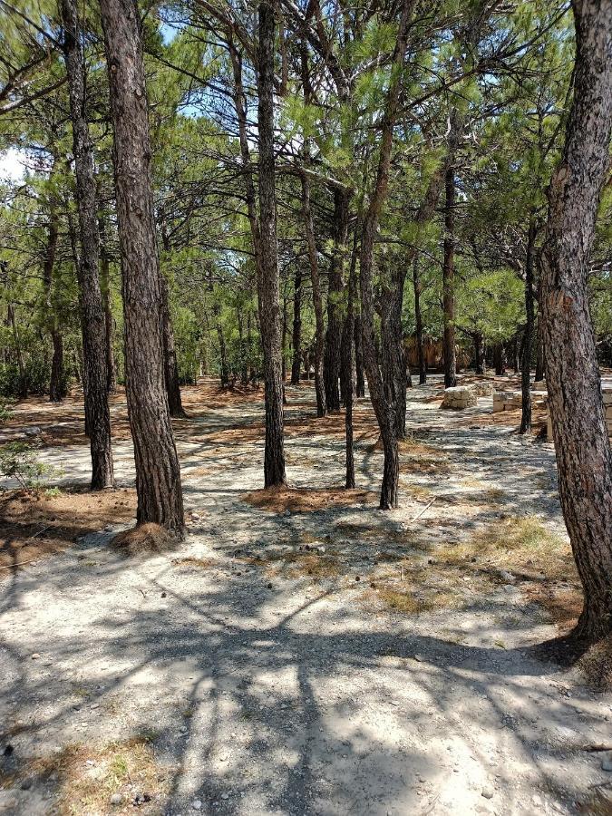 Вілла Sea View Pine House Макрі-Ялос Екстер'єр фото