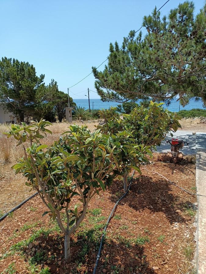 Вілла Sea View Pine House Макрі-Ялос Екстер'єр фото